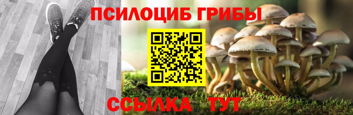 Галлюциногенные грибы ЛСД  Вход с VPN  Узловая 
